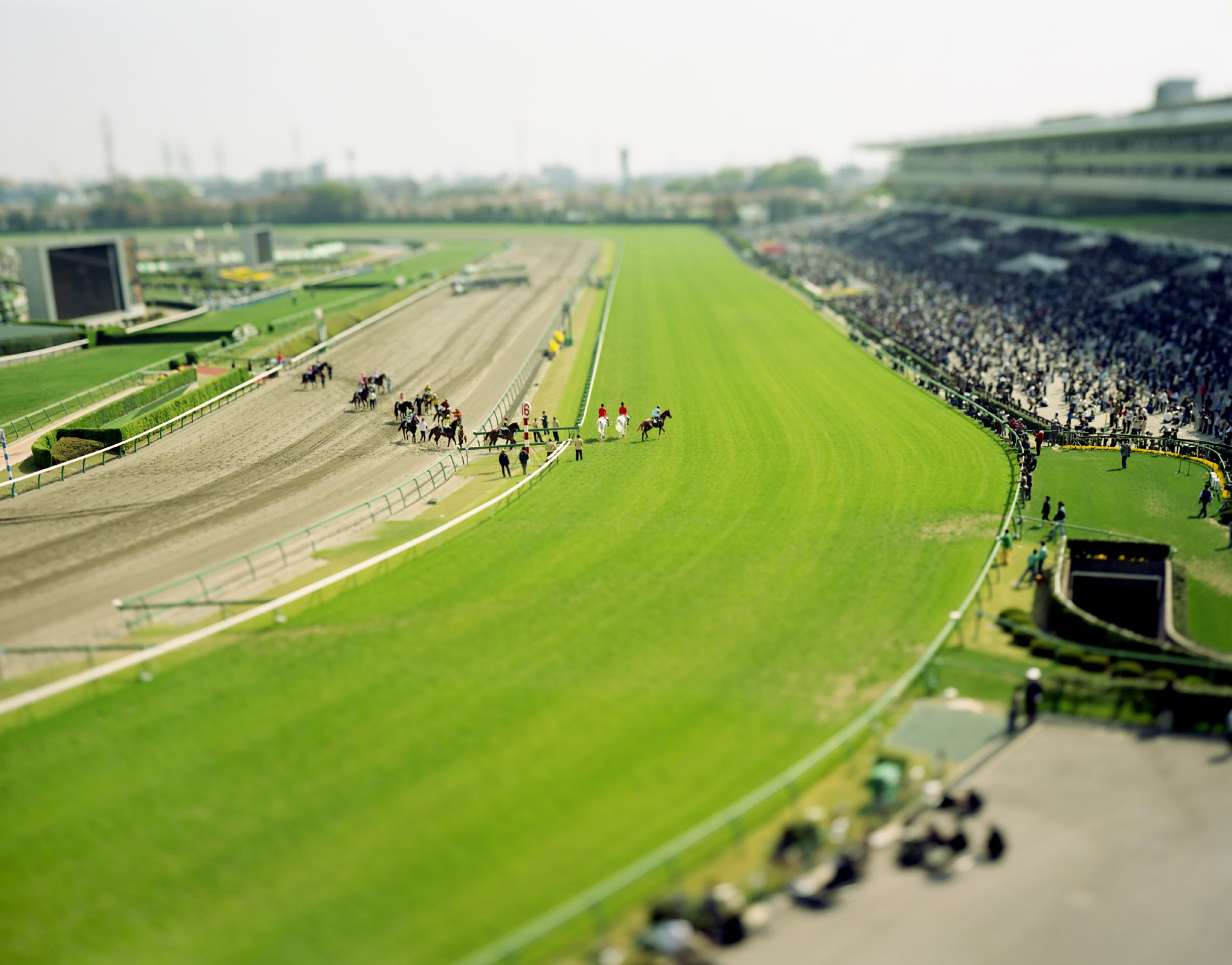 本城直季 (un)real utopia｜イベント｜高知県立美術館